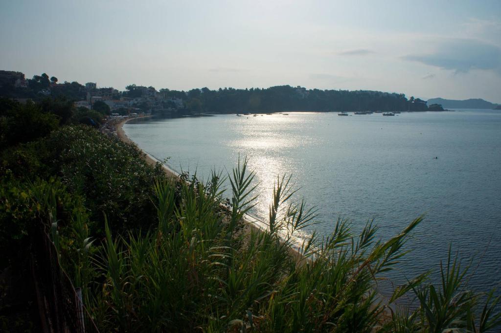 Aphrodite Skiathos Megali Ammos  Luaran gambar
