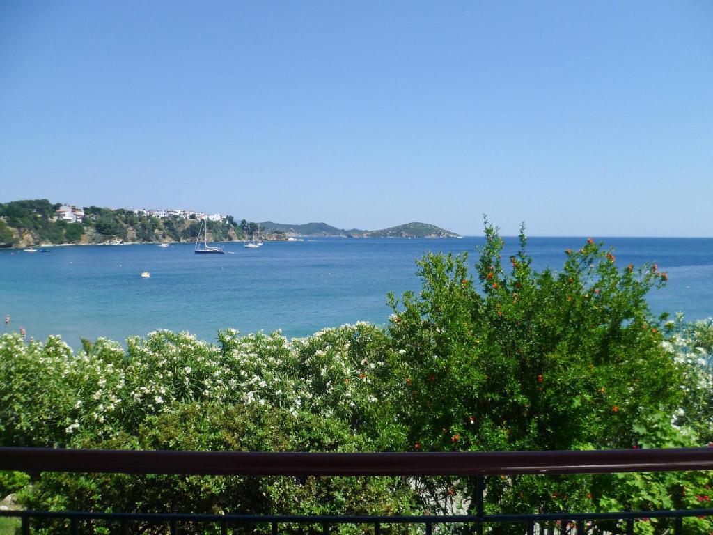 Aphrodite Skiathos Megali Ammos  Luaran gambar