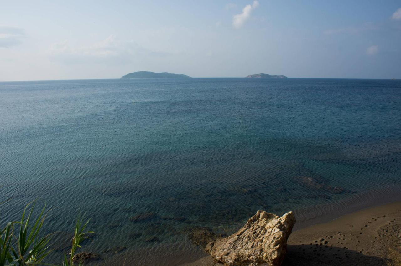 Aphrodite Skiathos Megali Ammos  Luaran gambar